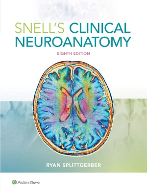Snells Clinical Neuroanatomy 8th Edition