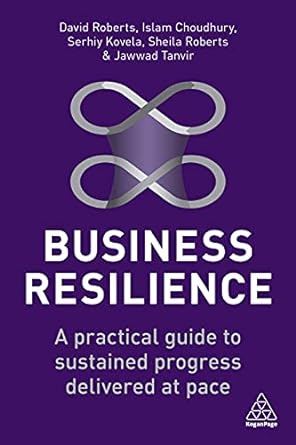Business Resilience A Practical Guide to Sustained Progress Delivered at Pace