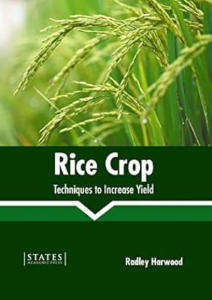Rice Crop Techniques to Increase Yield