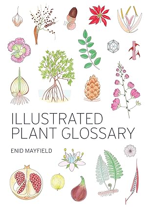 Illustrated Plant Glossary
