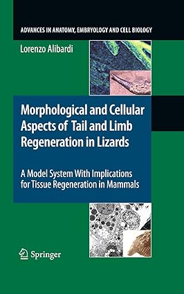 Morphological and Cellular Aspects of Tail and Limb Regeneration in Lizards