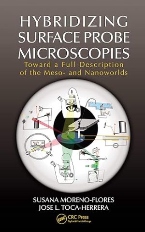 Hybridizing Surface Probe Microscopies Toward a Full Description of the Meso and Nanoworlds
