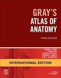 Grays Atlas of Anatomy 3rd Edition