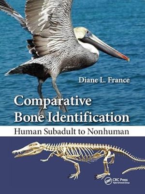 Comparative Bone Identification Human Subadult to Nonhuman