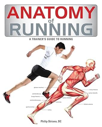 Anatomy of Running A Trainers Guide to Running